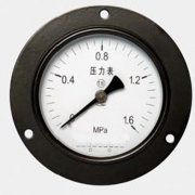 Y-100ͨѹ